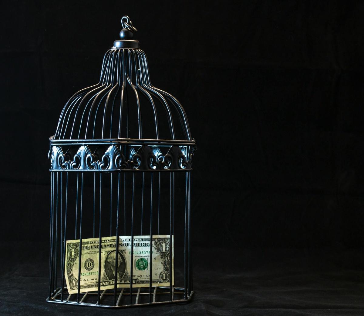 Understanding Federal vs. State Grants: Which Is Right for You?