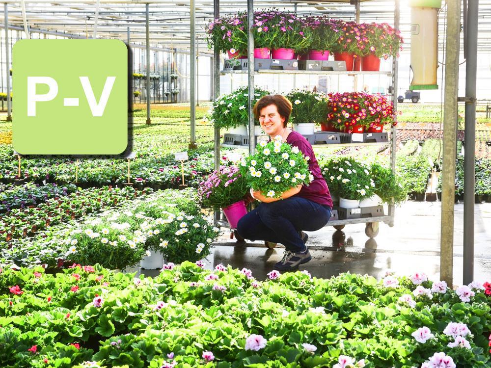 Tuincentrum Proost - Van Gorp Tuincentrum Proost - Van Gorp