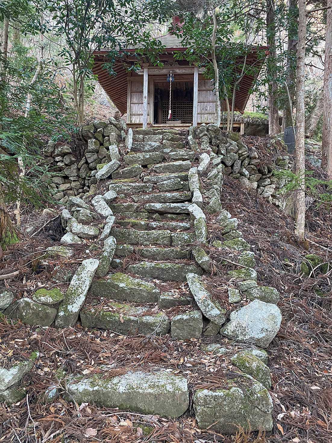 モデルコース2 モデルコース2