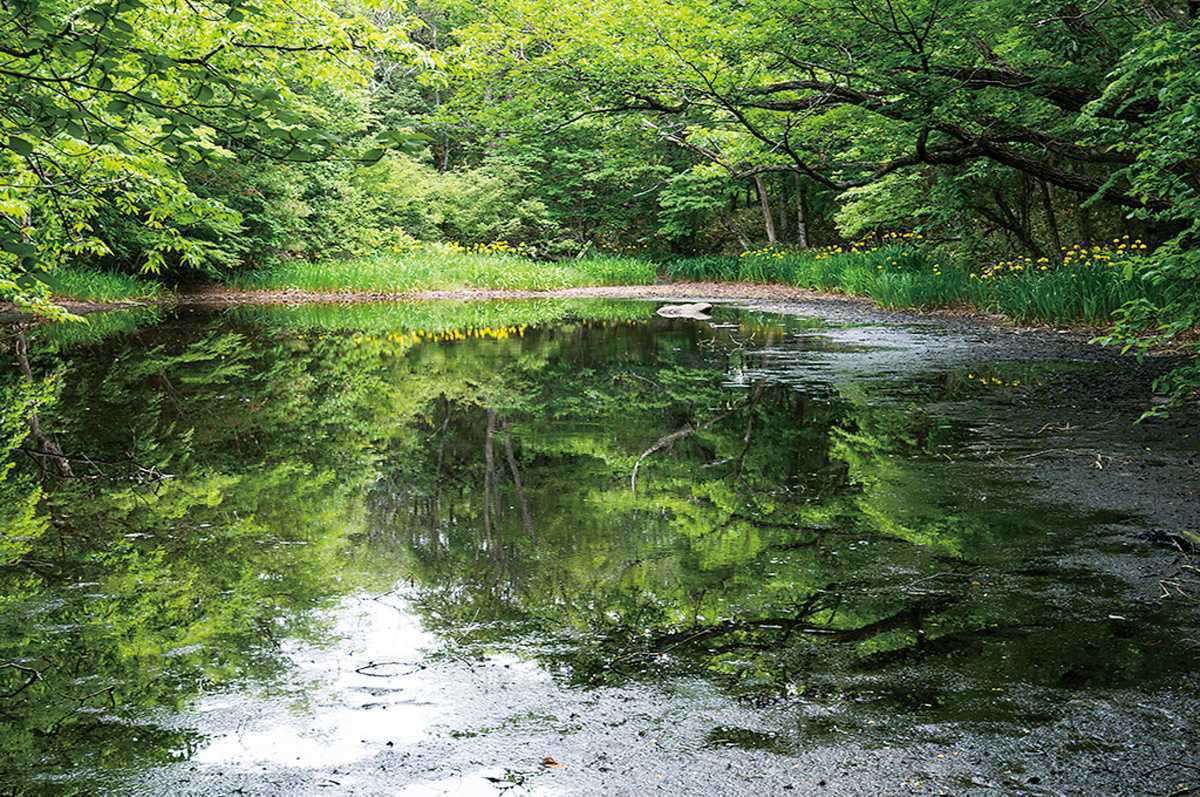 モデルコース2 モデルコース2