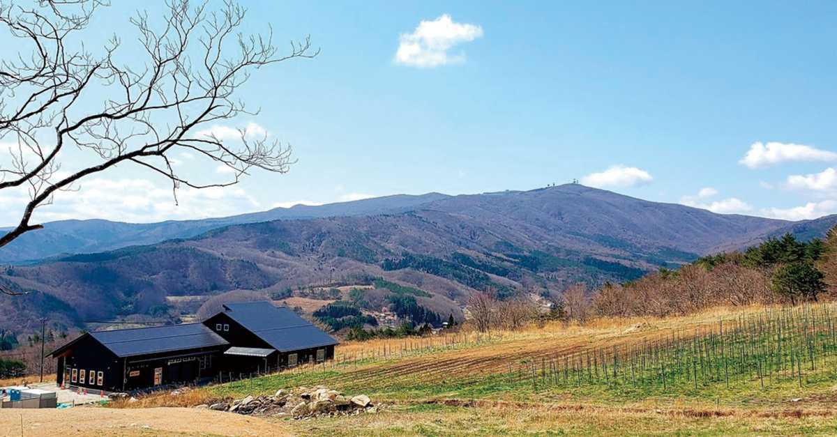 かわうちワイン