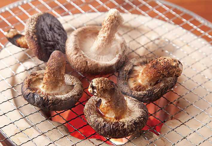 ひたむき椎茸 ひたむき椎茸