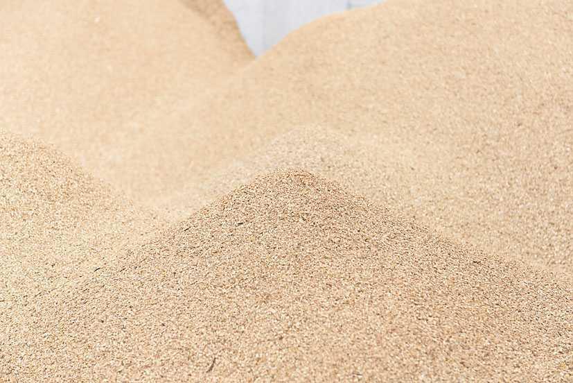 ひたむき椎茸 ひたむき椎茸