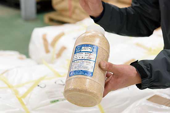 ひたむき椎茸 ひたむき椎茸