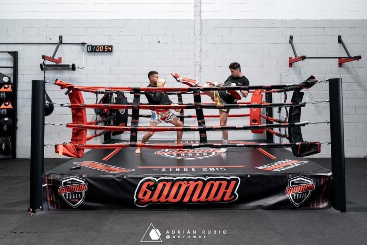 GYM GAONAH (MEJORADA) GYM GAONAH (MEJORADA)