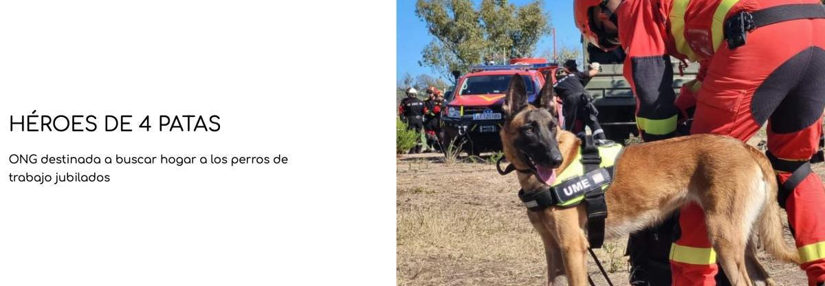 HÉROES DE 4 PATAS HÉROES DE 4 PATAS
