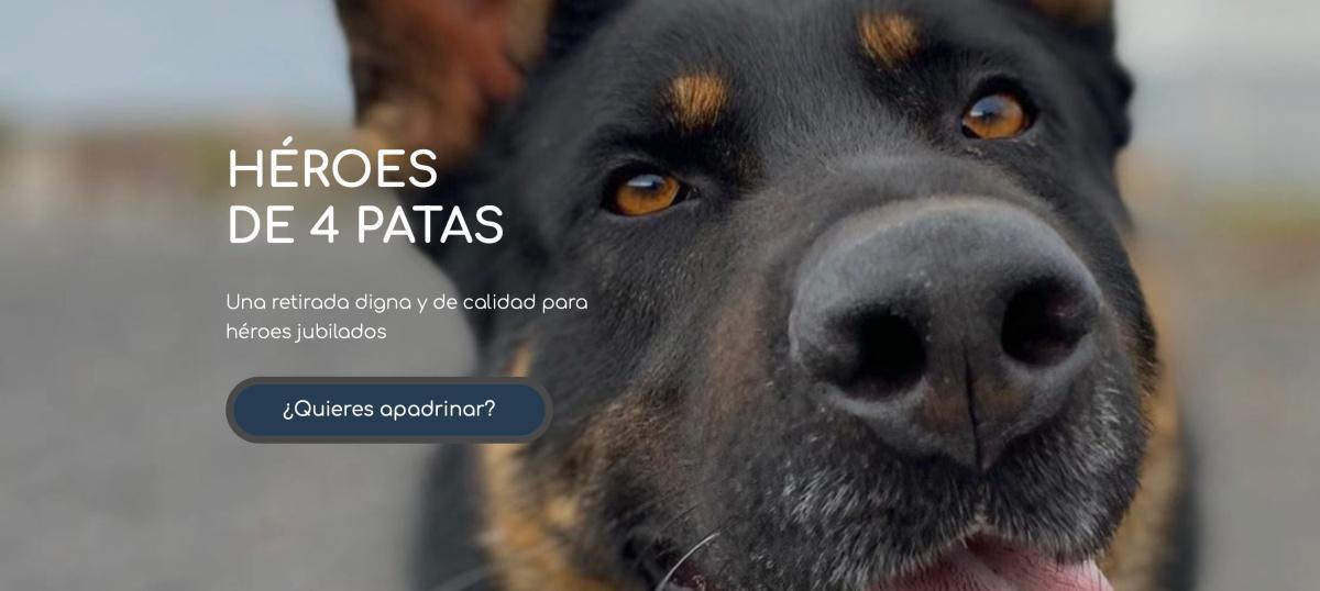 HÉROES DE 4 PATAS