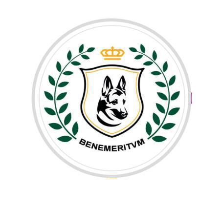 ASOCIACIÓN BENEMERITVM ASOCIACIÓN BENEMERITVM