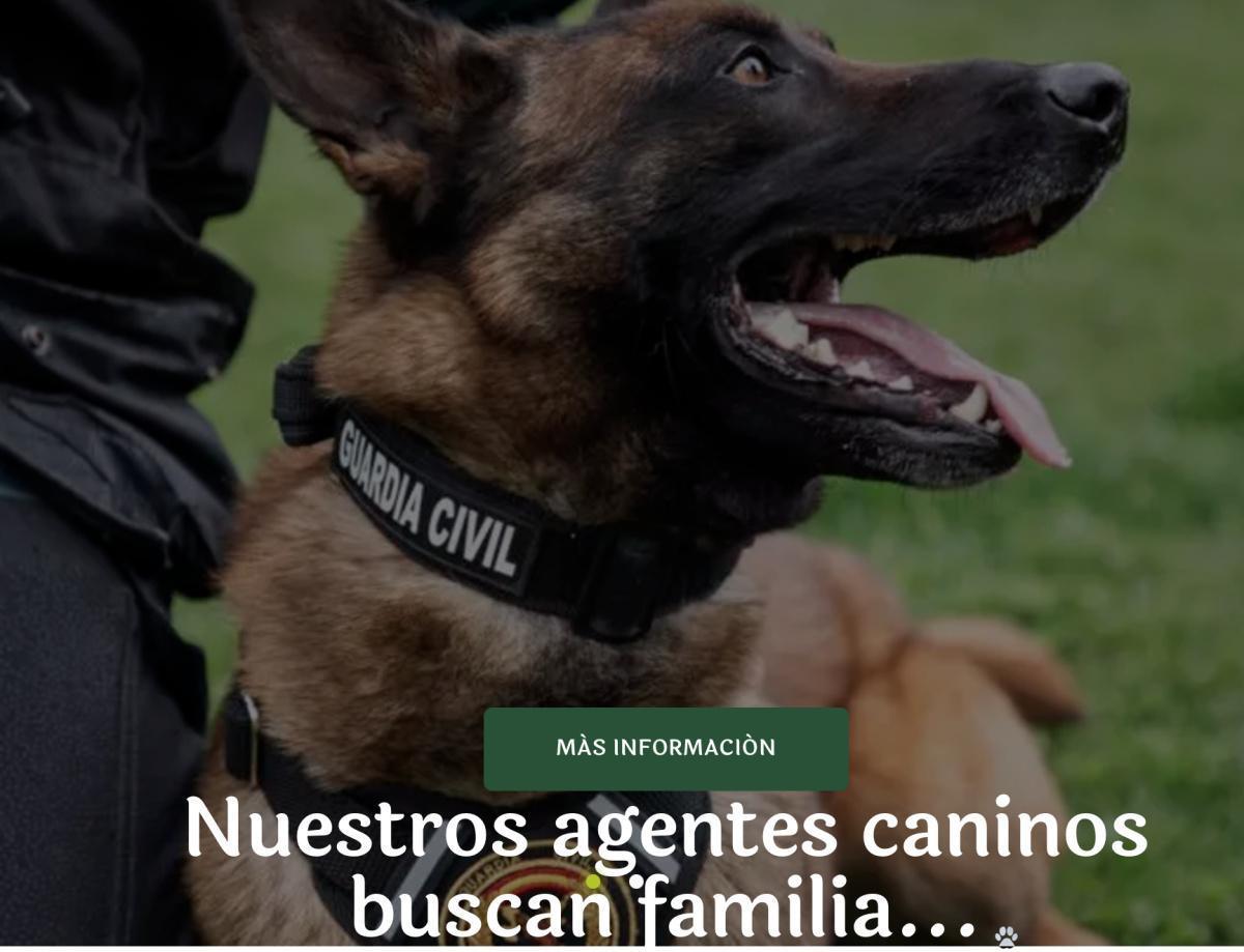 ASOCIACIÓN BENEMERITVM ASOCIACIÓN BENEMERITVM