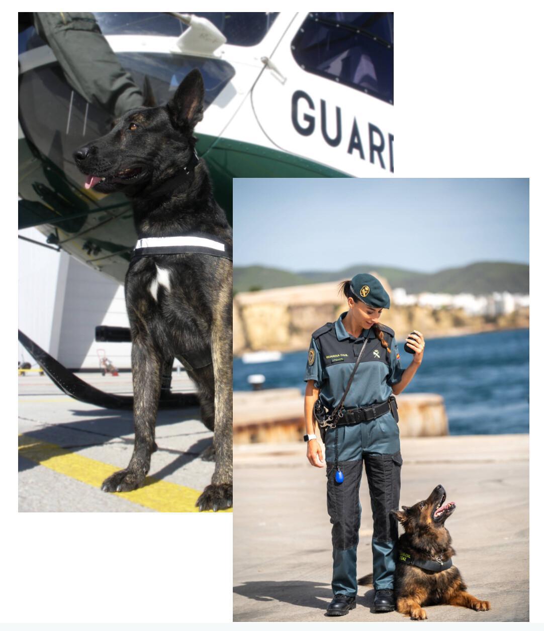 ASOCIACIÓN BENEMERITVM ASOCIACIÓN BENEMERITVM