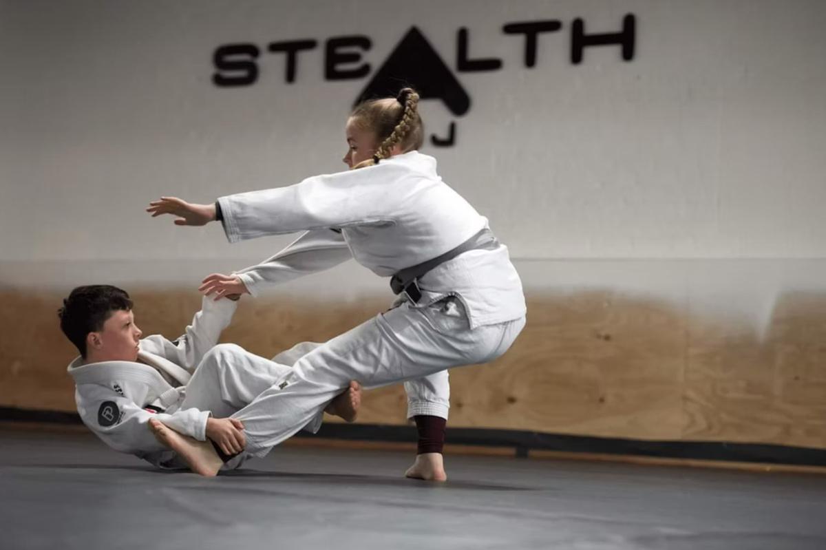 GYM STEALTH BJJ (MADRID)