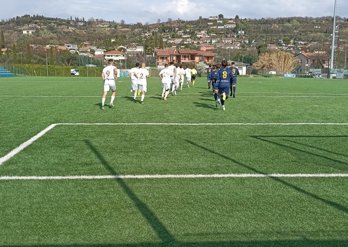 CJB-C. BARDOLINO 5-1