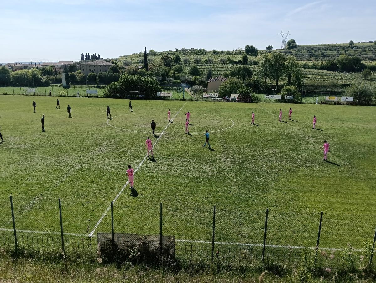 YOUNG BOYS - CJB 1-2