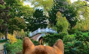 Parc Monceau