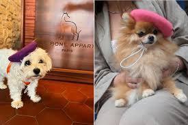 Le Bone Appart
