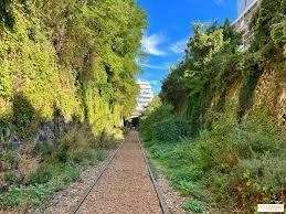 Ligne de petite ceinture de Paris Ligne de petite ceinture de Paris