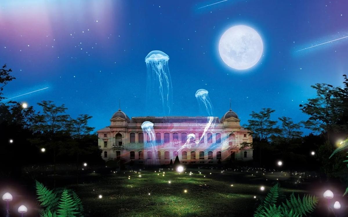 En voie d’illumination : Lumières de la nature En voie d’illumination : Lumières de la nature