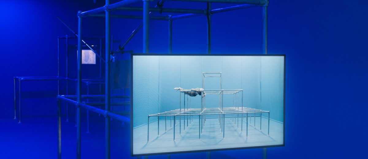 Ciel clair / Eaux troubles