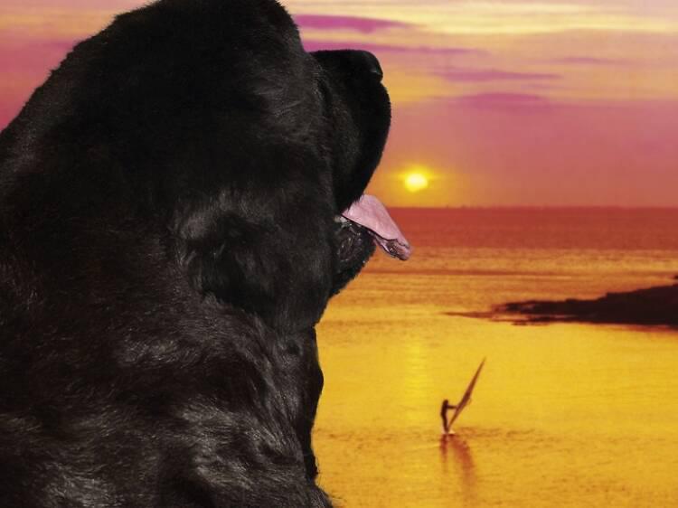 Météo Hebdo Offscreen Semaine du 23 → 29 mars 2026 Météo Hebdo Offscreen Semaine du 23 → 29 mars 2026