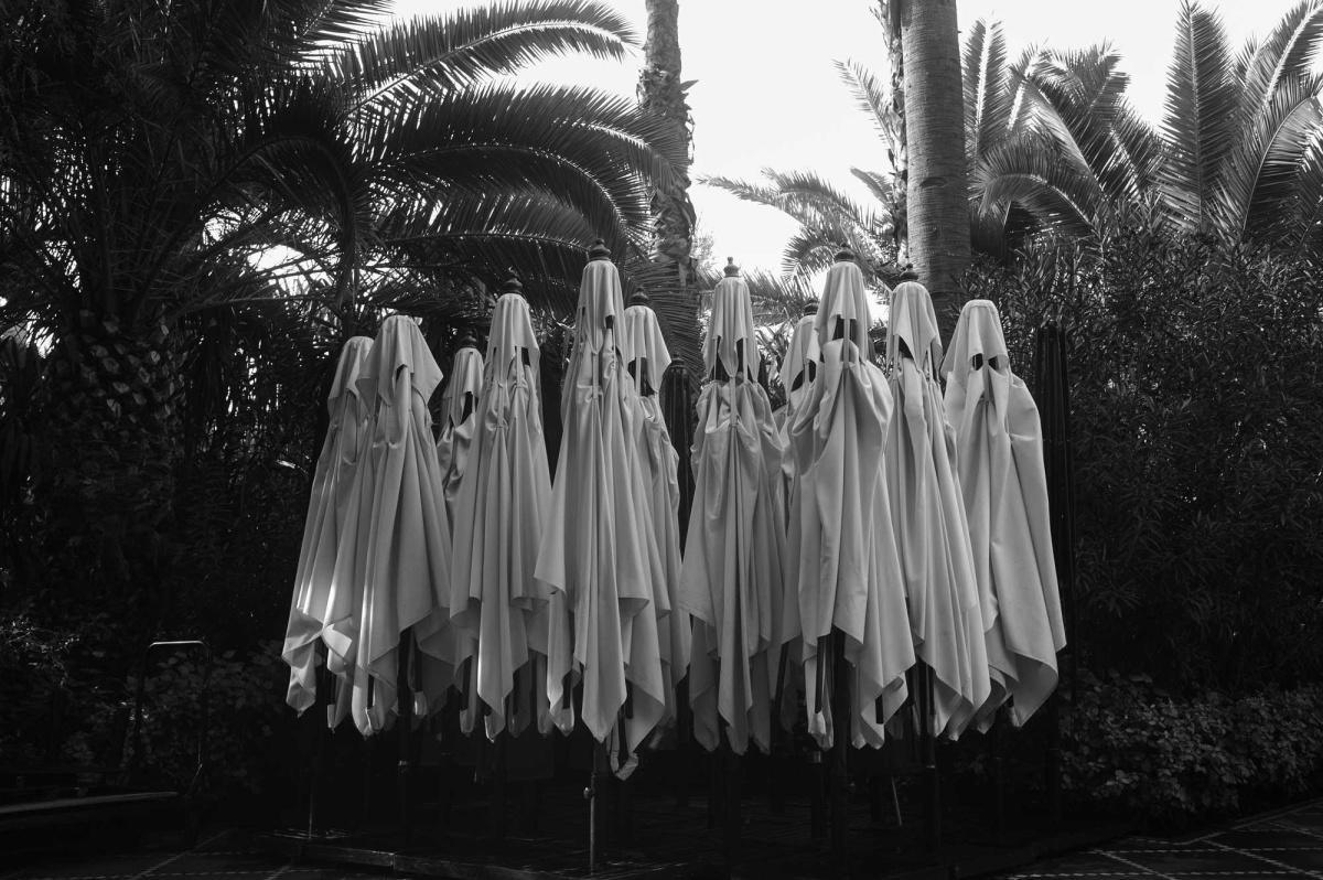 Park Chan-wook : Photographe