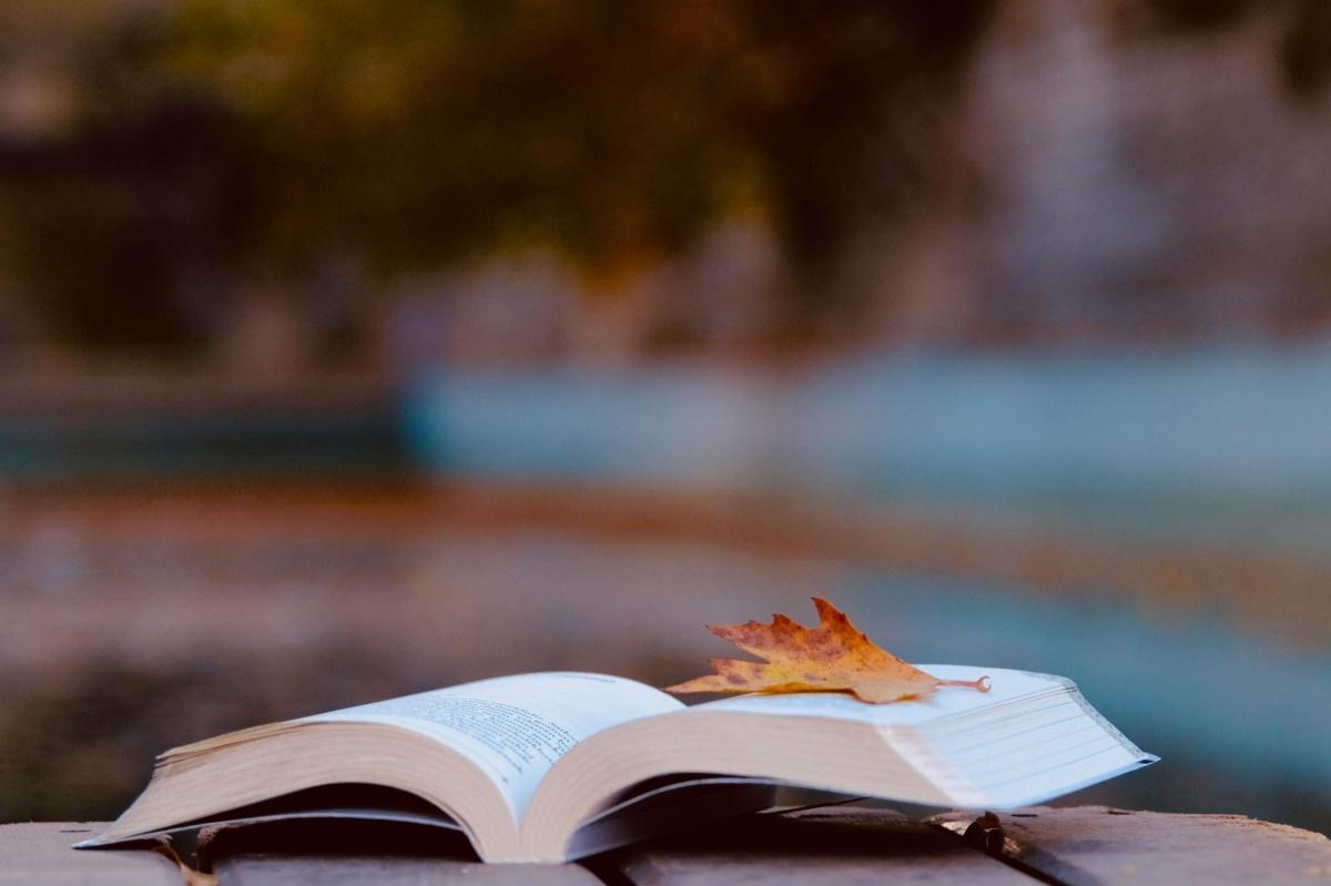 الكتب الإلكترونية أم الورقية: مقارنة حاسمة الكتب الإلكترونية أم الورقية: مقارنة حاسمة