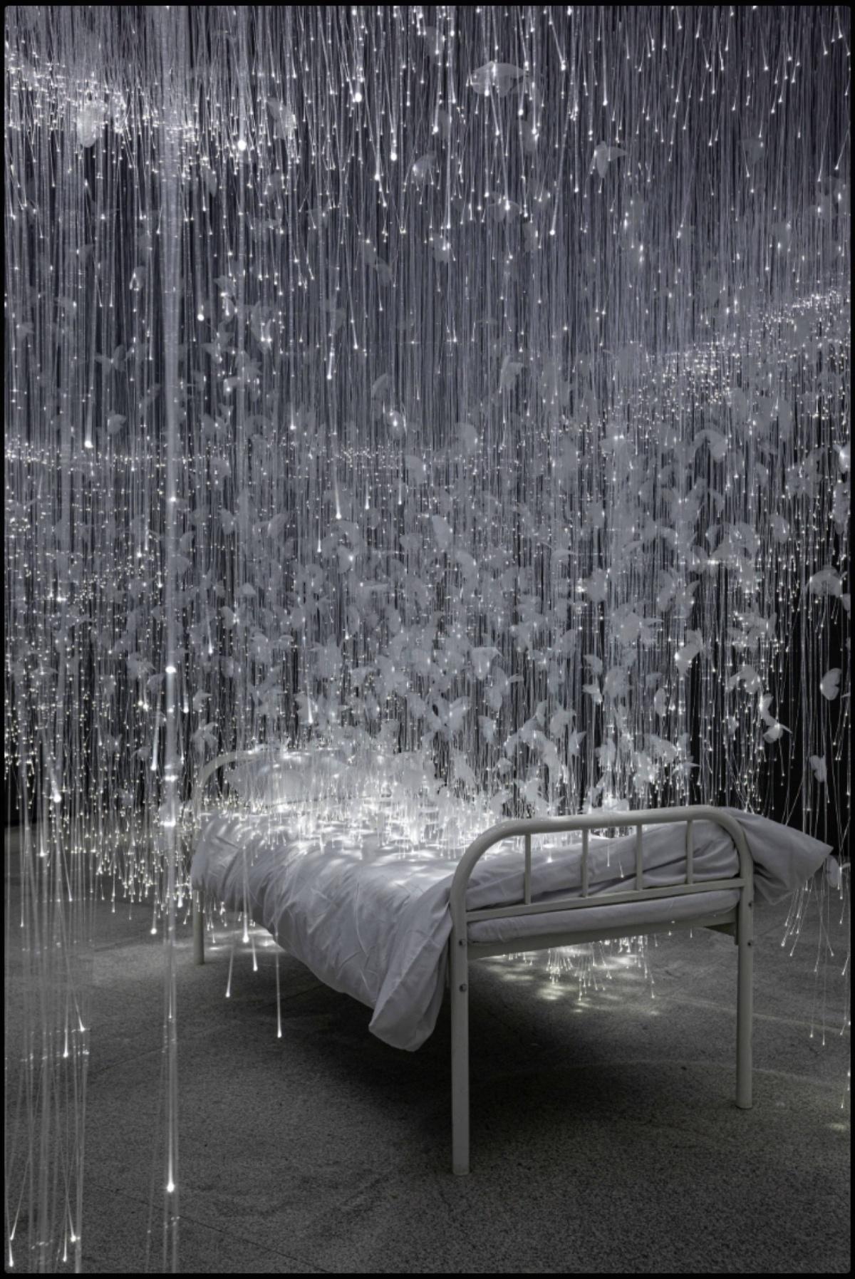 بين فراشات شيوتا وأضواء الحكاية: حضور الغياب وتحولات الوعي بين فراشات شيوتا وأضواء الحكاية: حضور الغياب وتحولات الوعي