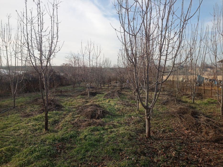 Продаётся земельным участком за 1.сотку 1900.у.е 22 608 670 сум Договорная