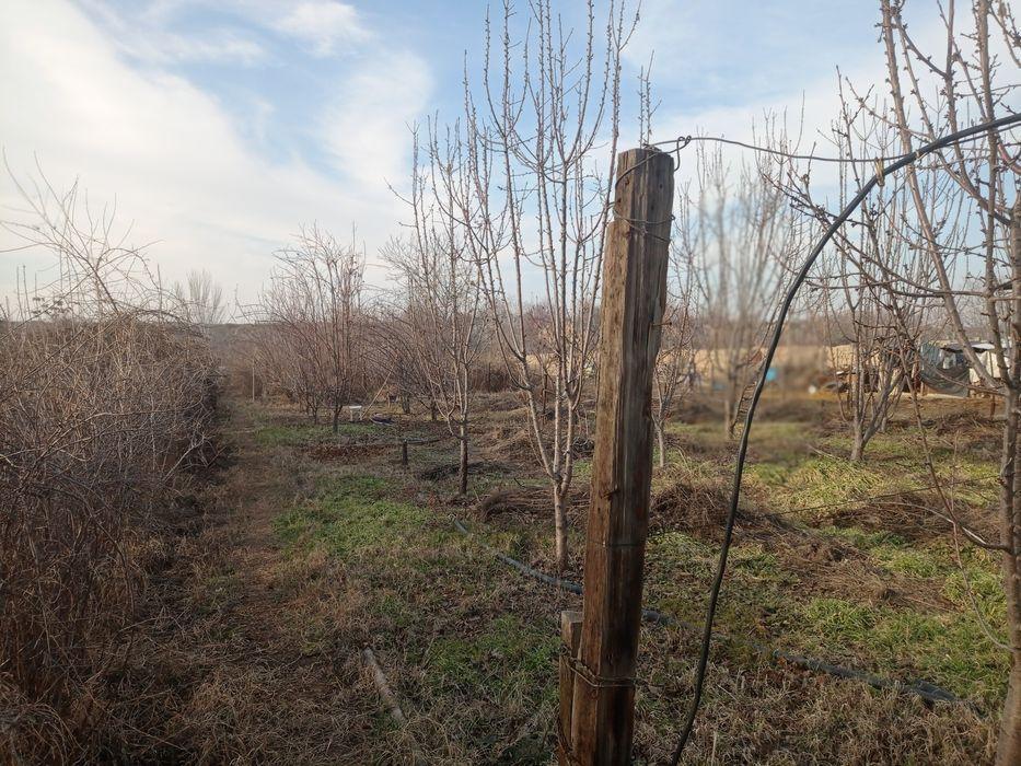 Продаётся земельным участком за 1.сотку 1900.у.е 22 608 670 сум Договорная Продаётся земельным участком за 1.сотку 1900.у.е 22 608 670 сум Договорная