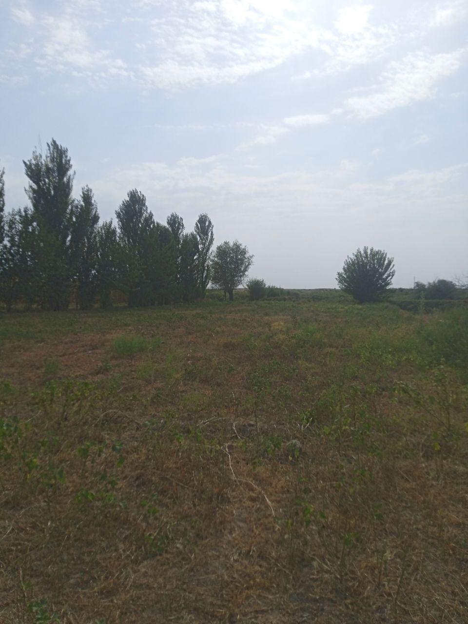 Земельные участки 166 590 200 сум Договорная Земельные участки 166 590 200 сум Договорная