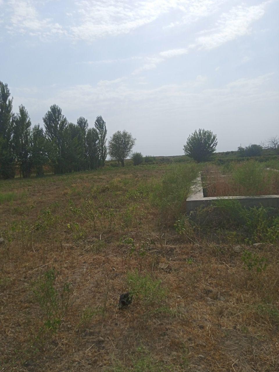 Земельные участки 166 590 200 сум Договорная