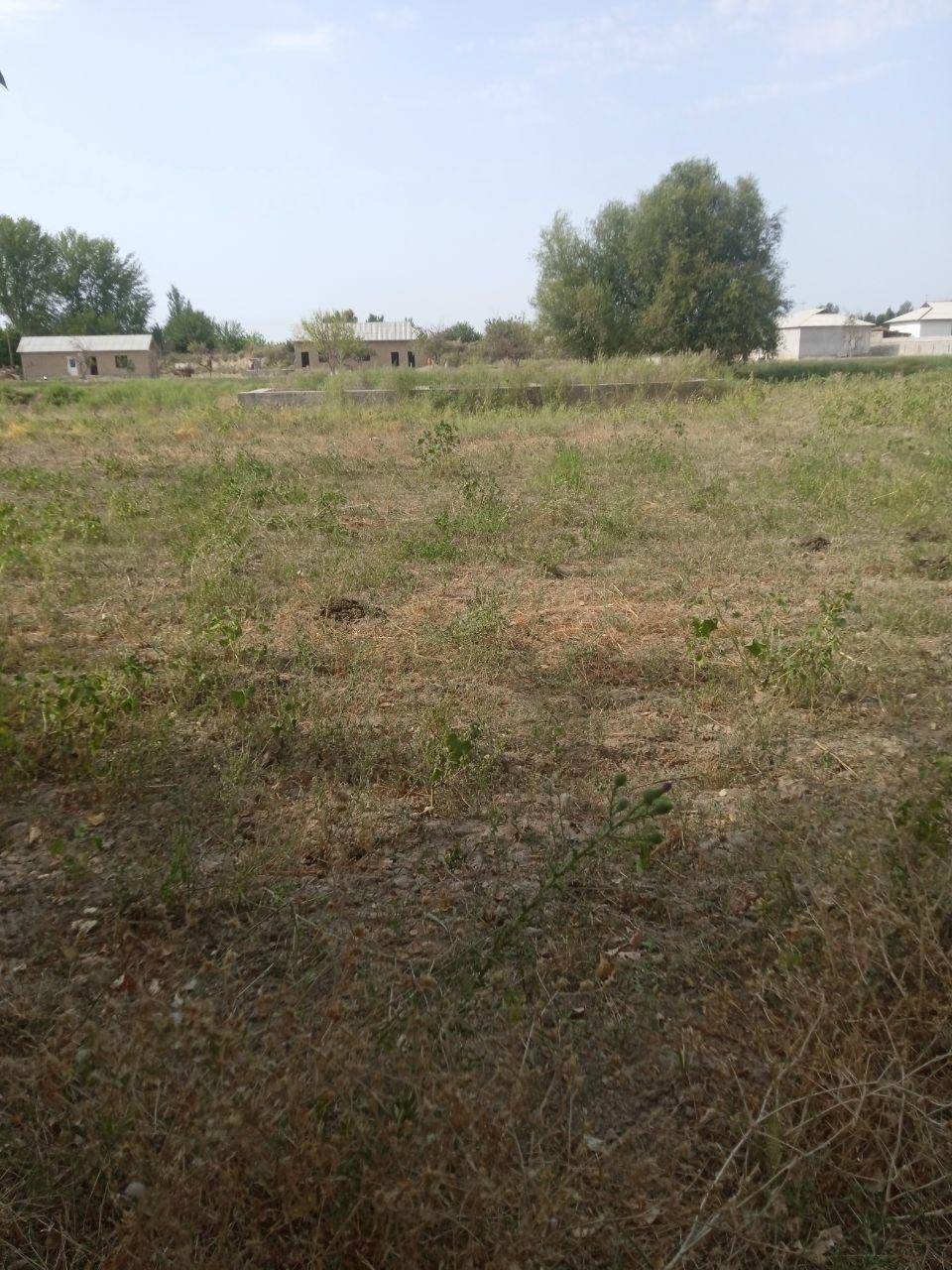 Земельные участки 166 590 200 сум Договорная