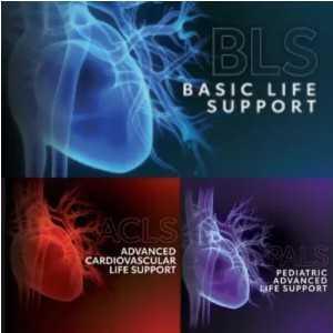 BLS, ACLS, PALS Class