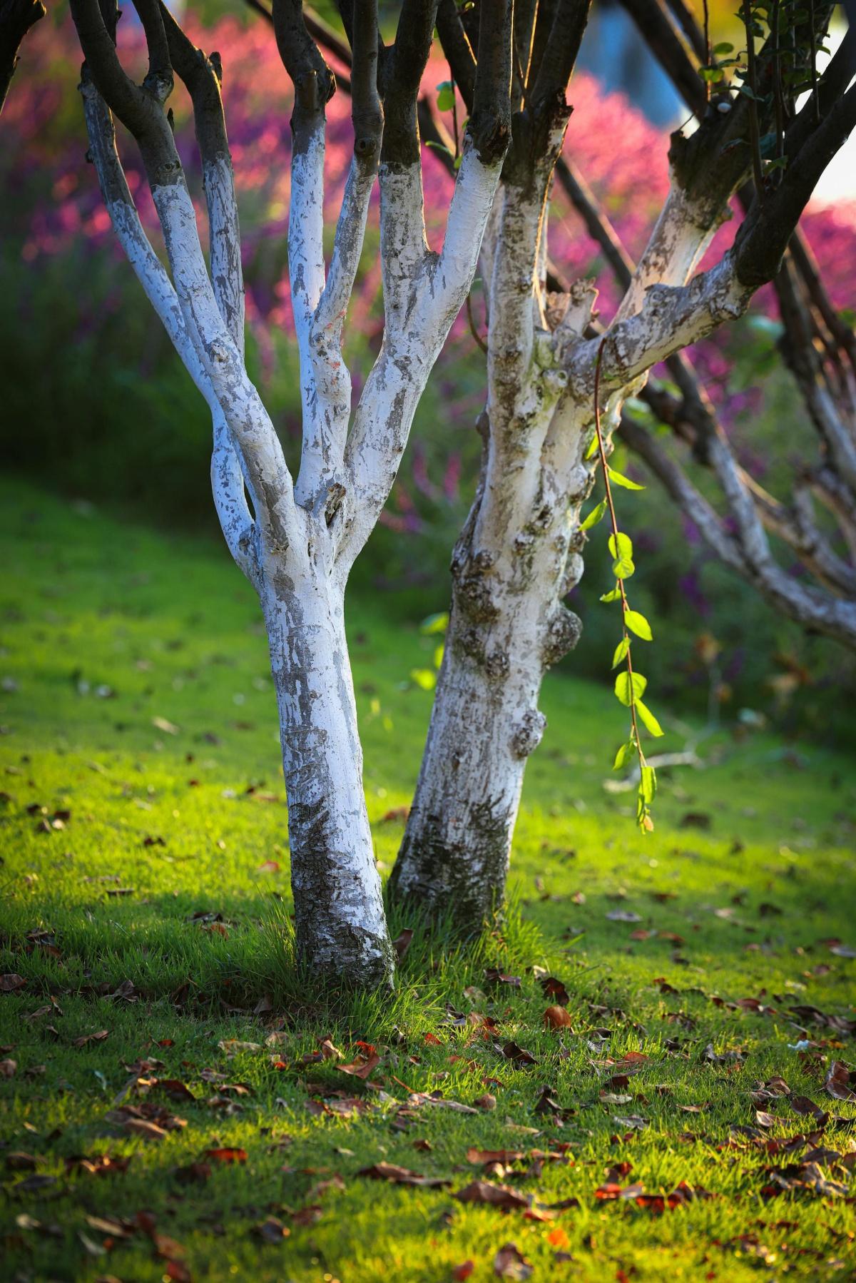 Local Demo* Local Demo*