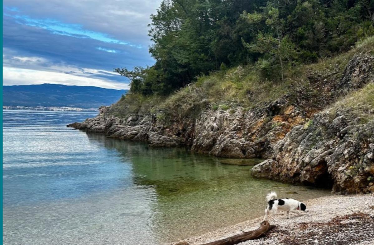 Little Dog-Beach Little Dog-Beach