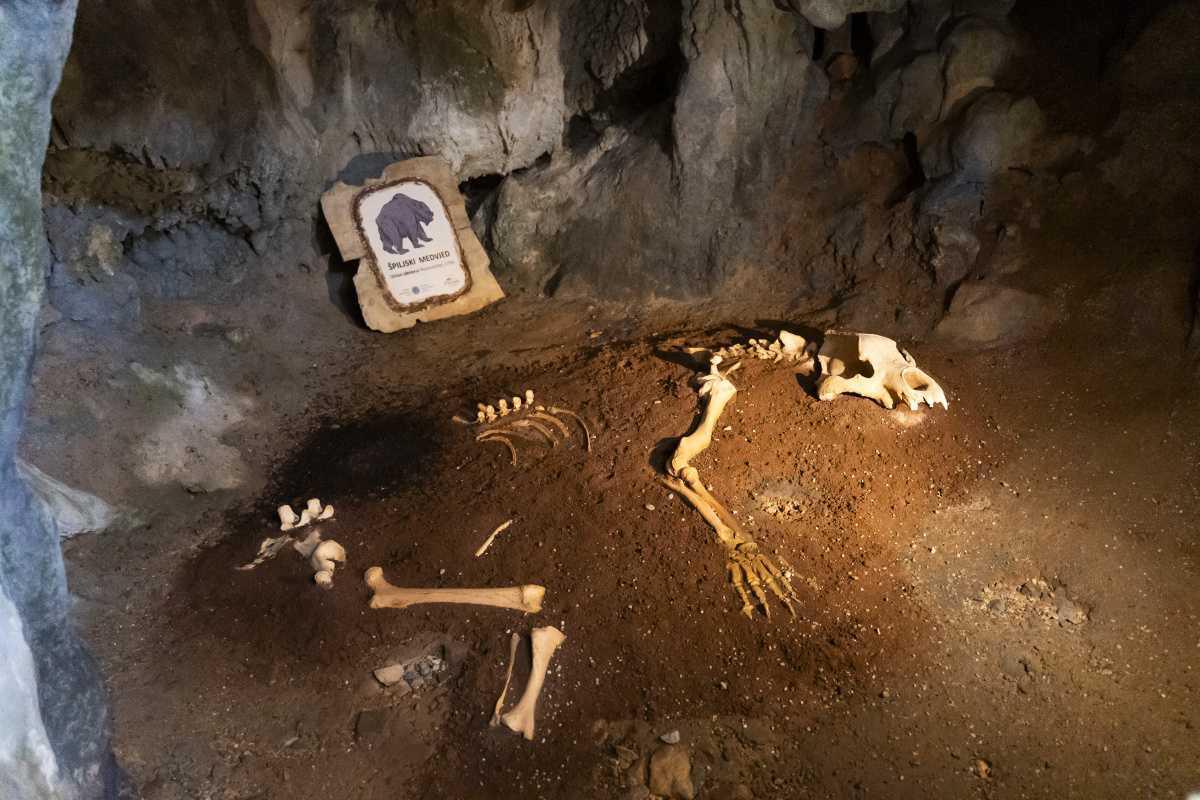 Tropfsteinhöhle Tropfsteinhöhle