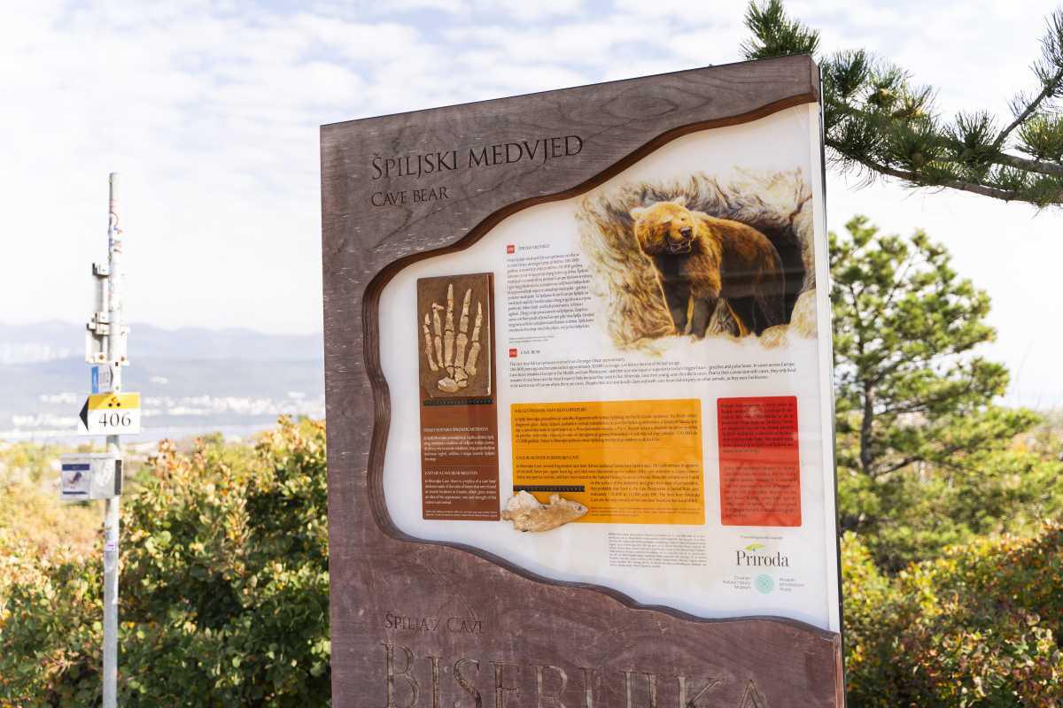 Tropfsteinhöhle Tropfsteinhöhle