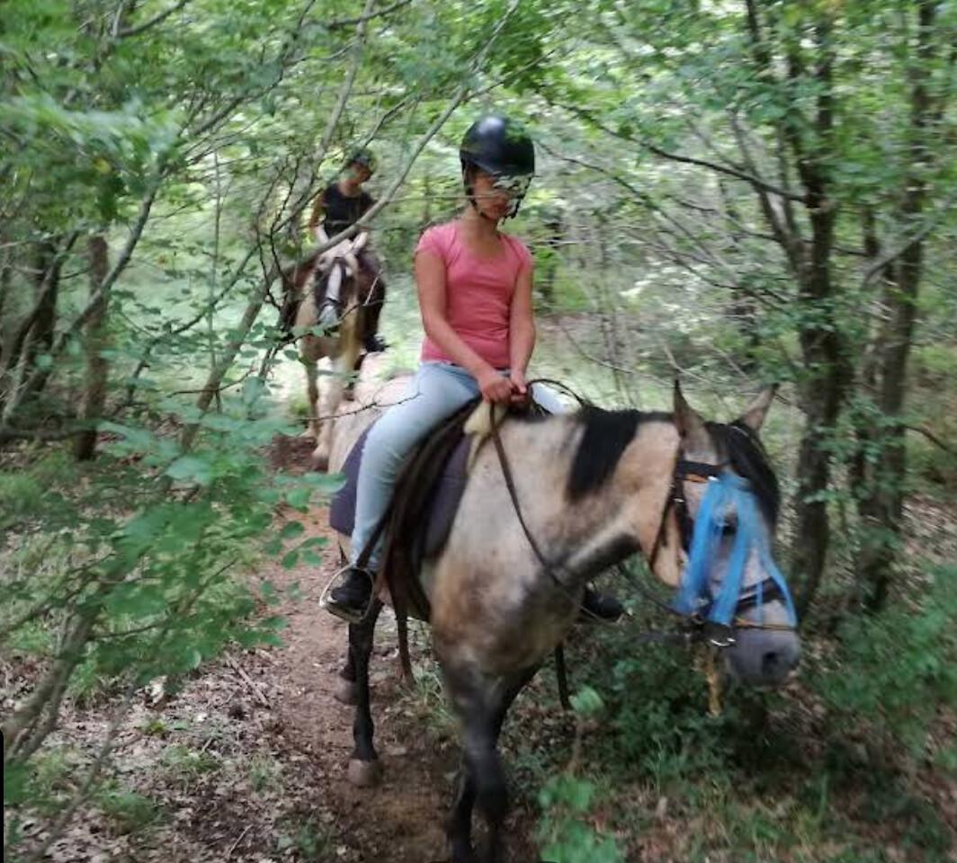 Horse Riding on Krk