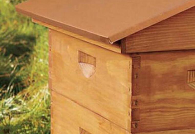 NONO Beekeeping 🐝