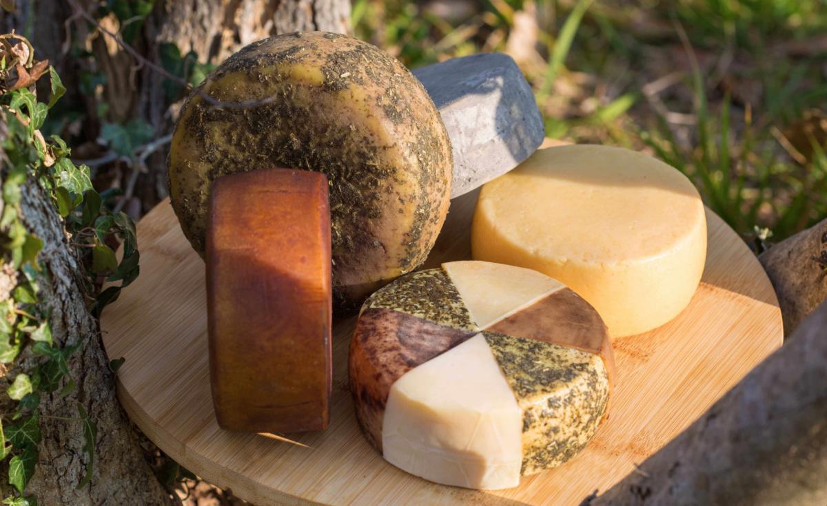 MAGRIŽ – Farm Experience with Cheese & Olive Oil Tastings MAGRIŽ – Farm Experience with Cheese & Olive Oil Tastings