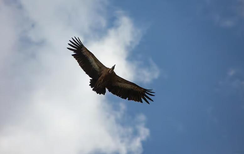 Pirate Cave Tour on Krk – Treasure Hunt & Swimming