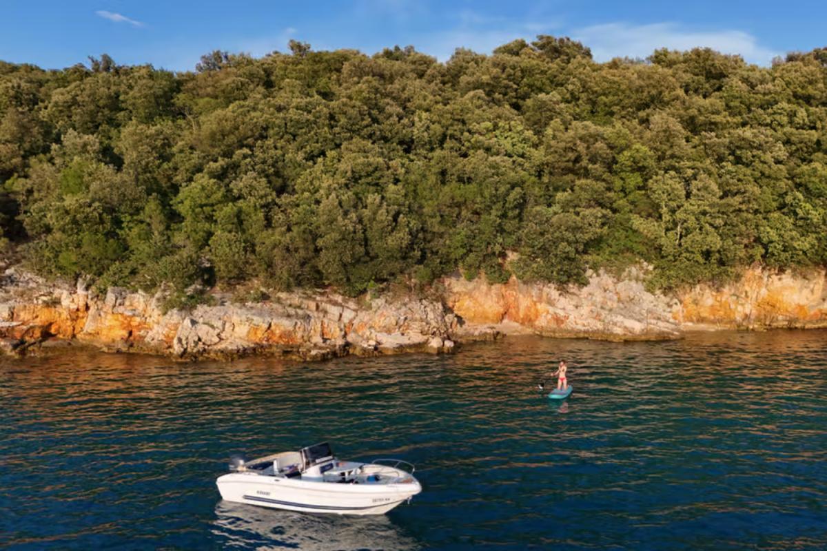 Sunset Boat Tour in Krk – Wine & Dolphin Watching Sunset Boat Tour in Krk – Wine & Dolphin Watching