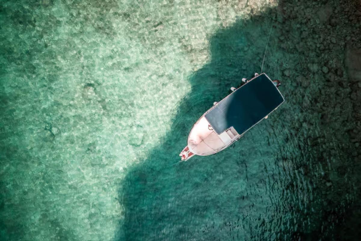 Boat Tour to Plavnik Island – Half-Day Trip from Punat