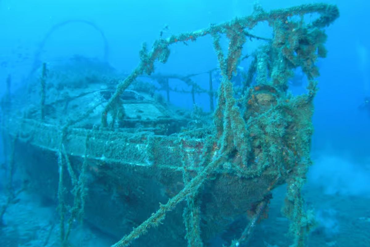 Diving Adventure in Vrbnik – Discover the Underwater World Diving Adventure in Vrbnik – Discover the Underwater World