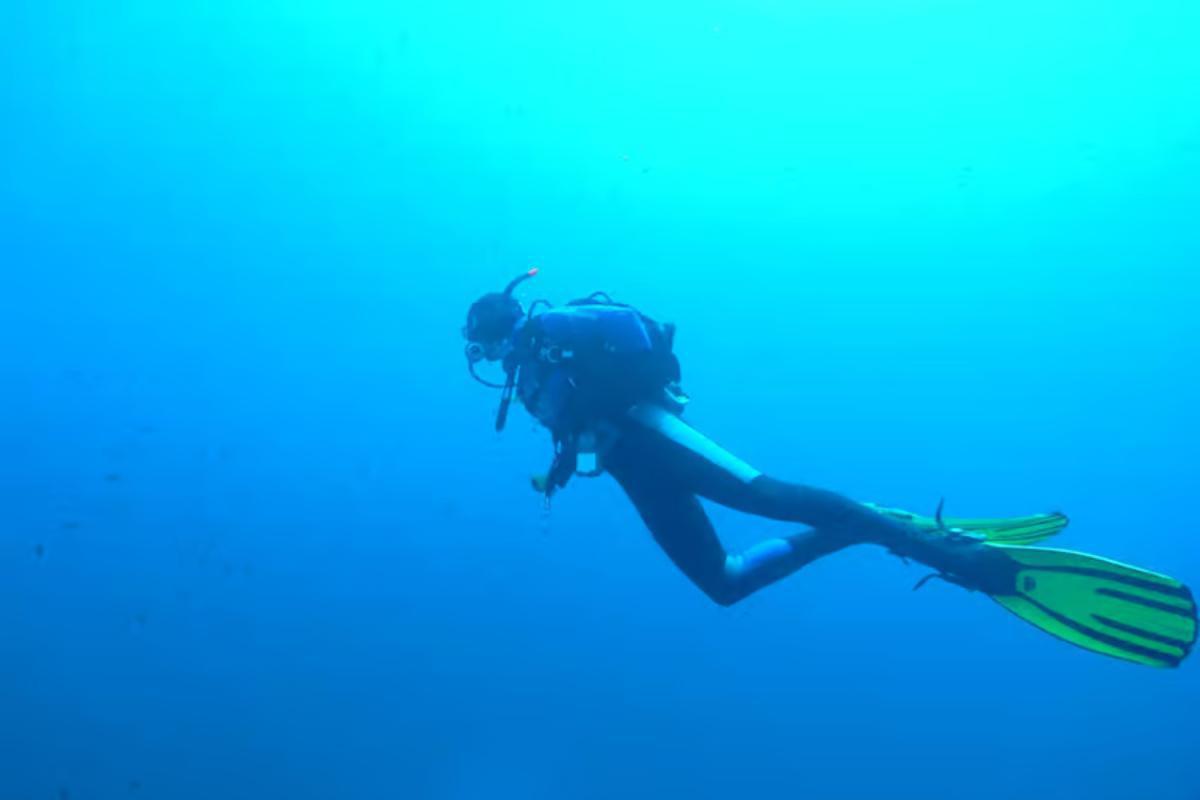 Diving Adventure in Vrbnik – Discover the Underwater World Diving Adventure in Vrbnik – Discover the Underwater World