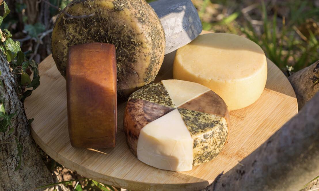 -10% Off MAGRIŽ – Farm Experience with Cheese & Olive Oil Tastings -10% Off MAGRIŽ – Farm Experience with Cheese & Olive Oil Tastings