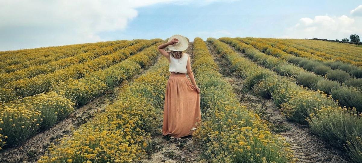 Free Entry Immortelle Farm KRK Free Entry Immortelle Farm KRK