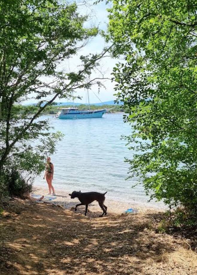 Dog's beach (Njivice) Dog's beach (Njivice)