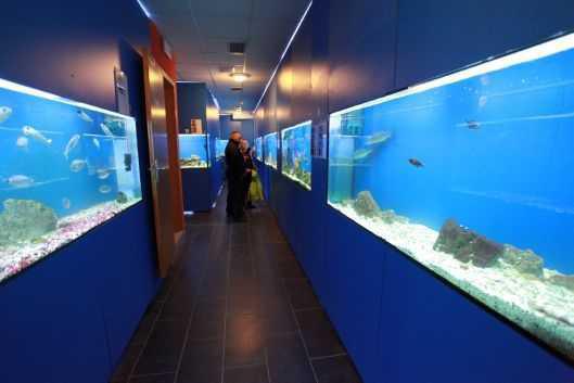 Baska Aquarium Baska Aquarium
