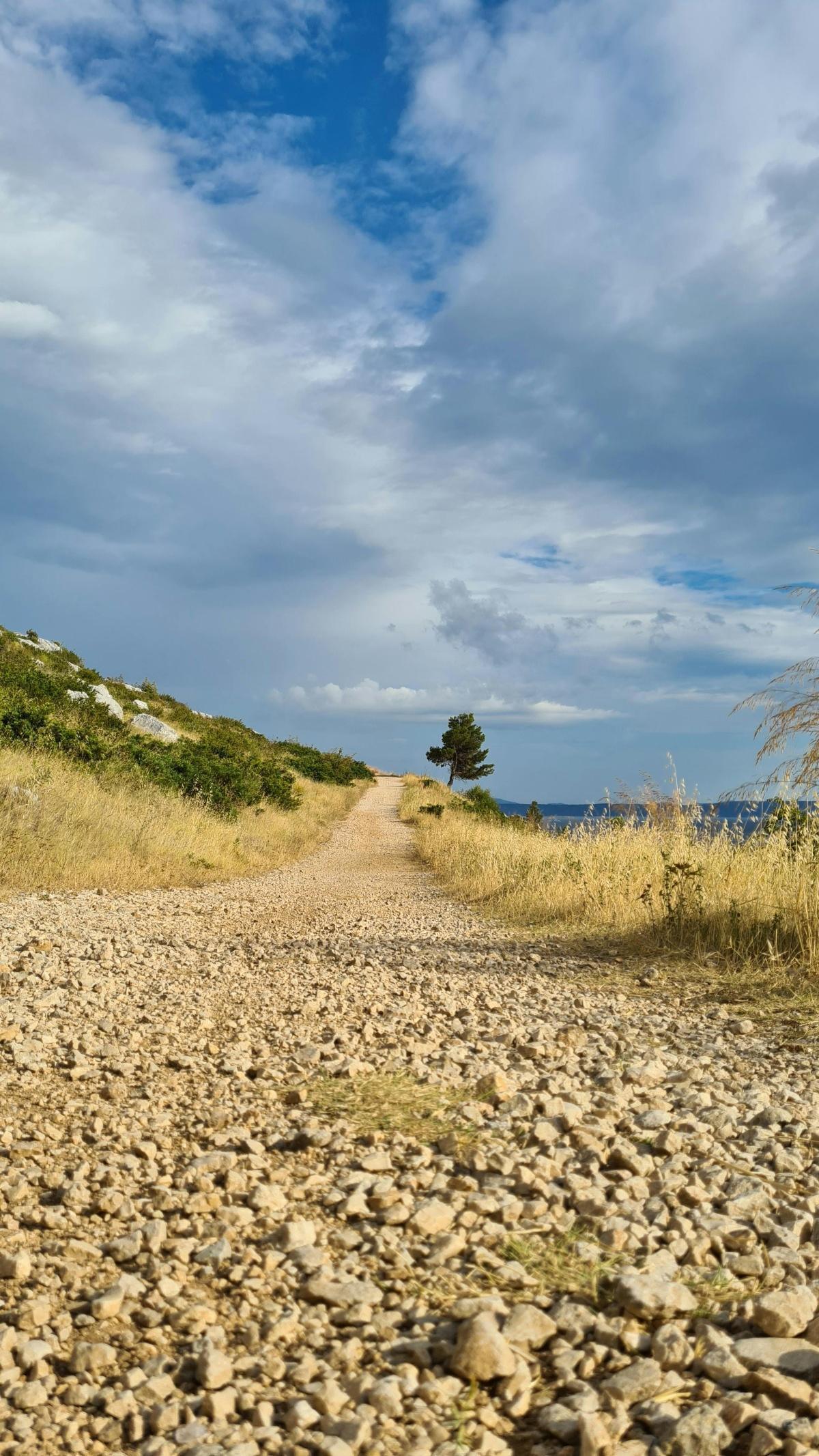 Wildlife on Krk Island Safety Guide