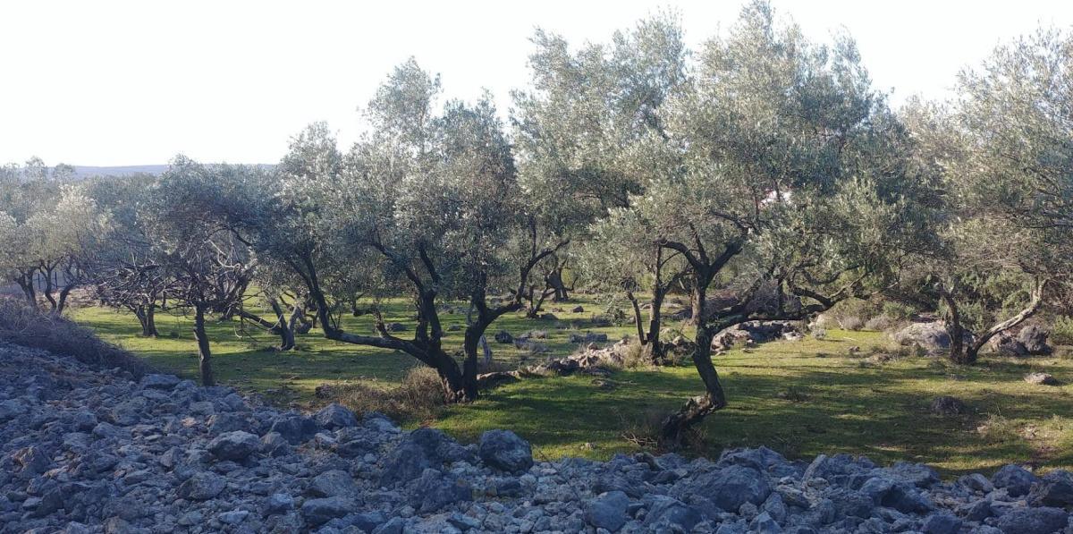 Four Seasons on Krk